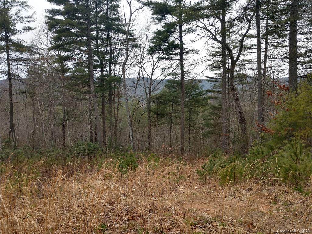 00 Spring Meadows Lane - Photo 1
