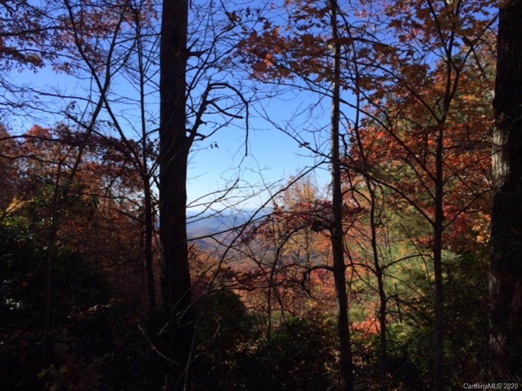 9 Laurel Knob Road - Photo 1