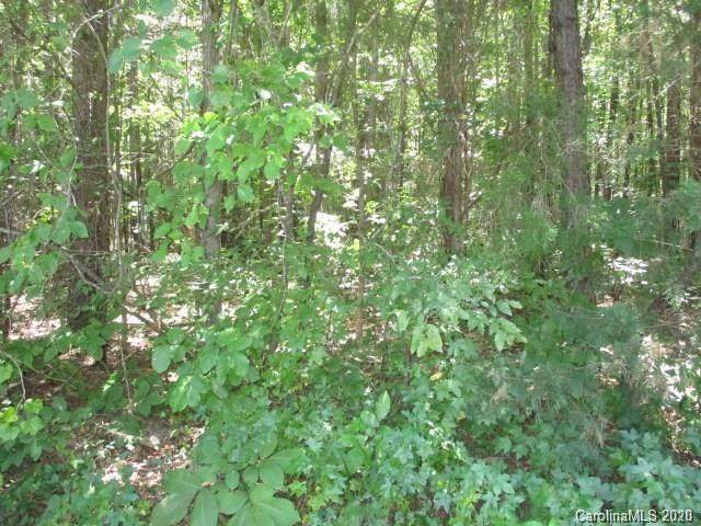 0000 Deertrack Circle - Photo 1