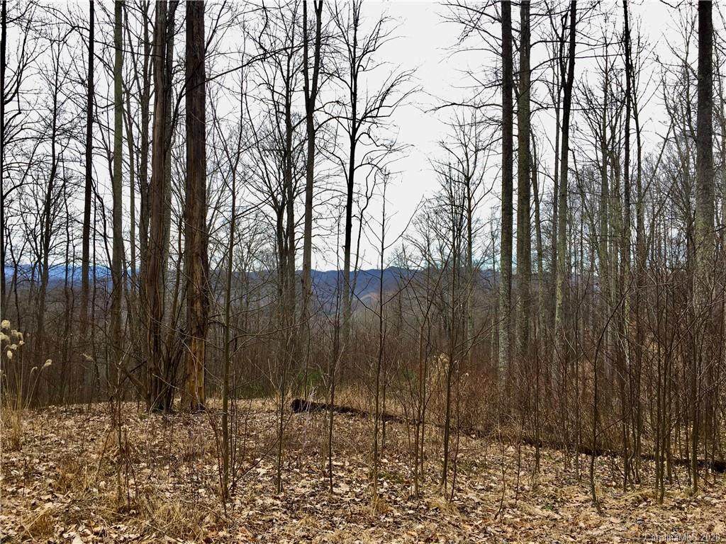 933 Red Wolf Run - Photo 1