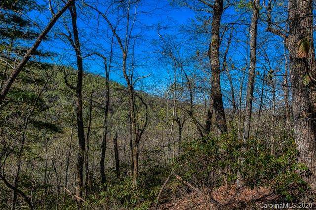 5 Ladys Fern Trail - Photo 1