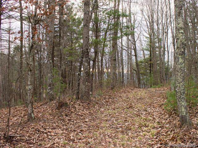 27 Bent Branch Lane - Photo 1