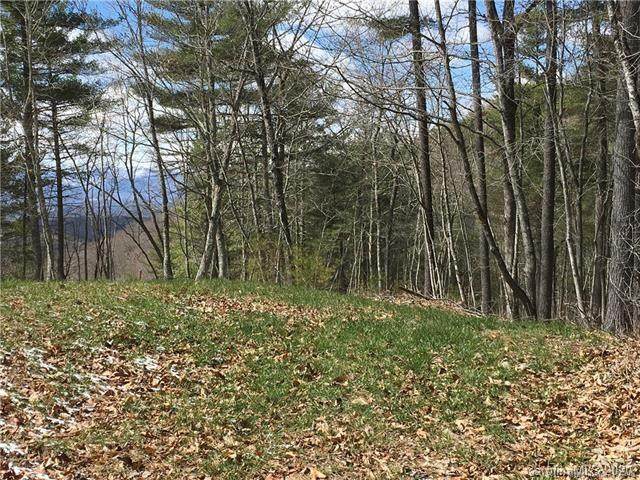 43 Bent Branch Lane - Photo 1