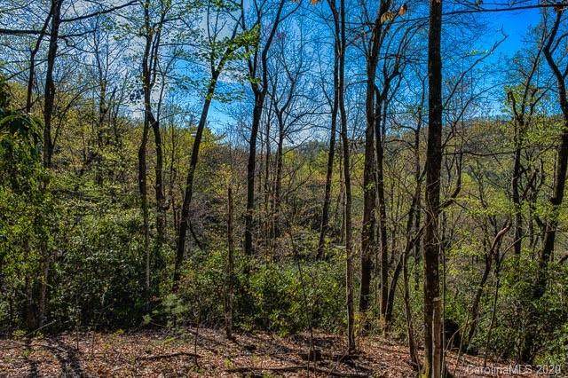 7 Ladys Fern Trail - Photo 1