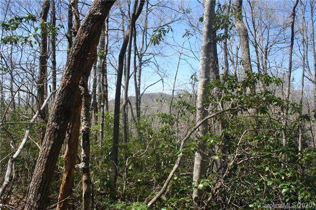 TBD Anderson Acres Road - Photo 1