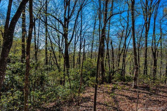 8 Ladys Fern Trail - Photo 1