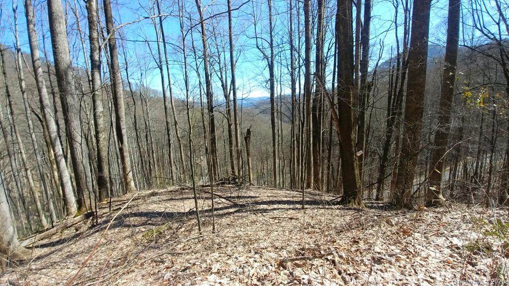 28 Streamside Drive - Photo 1