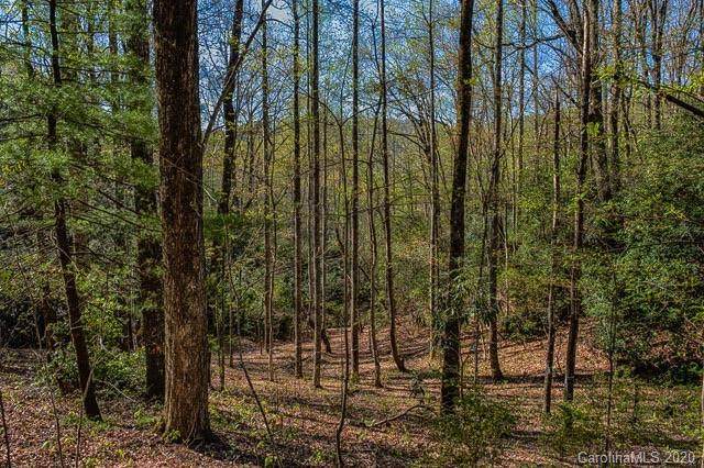 9 Ladys Fern Trail - Photo 1