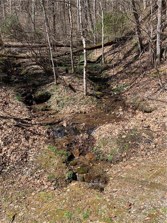 00000 Friar Tuck Lane - Photo 1