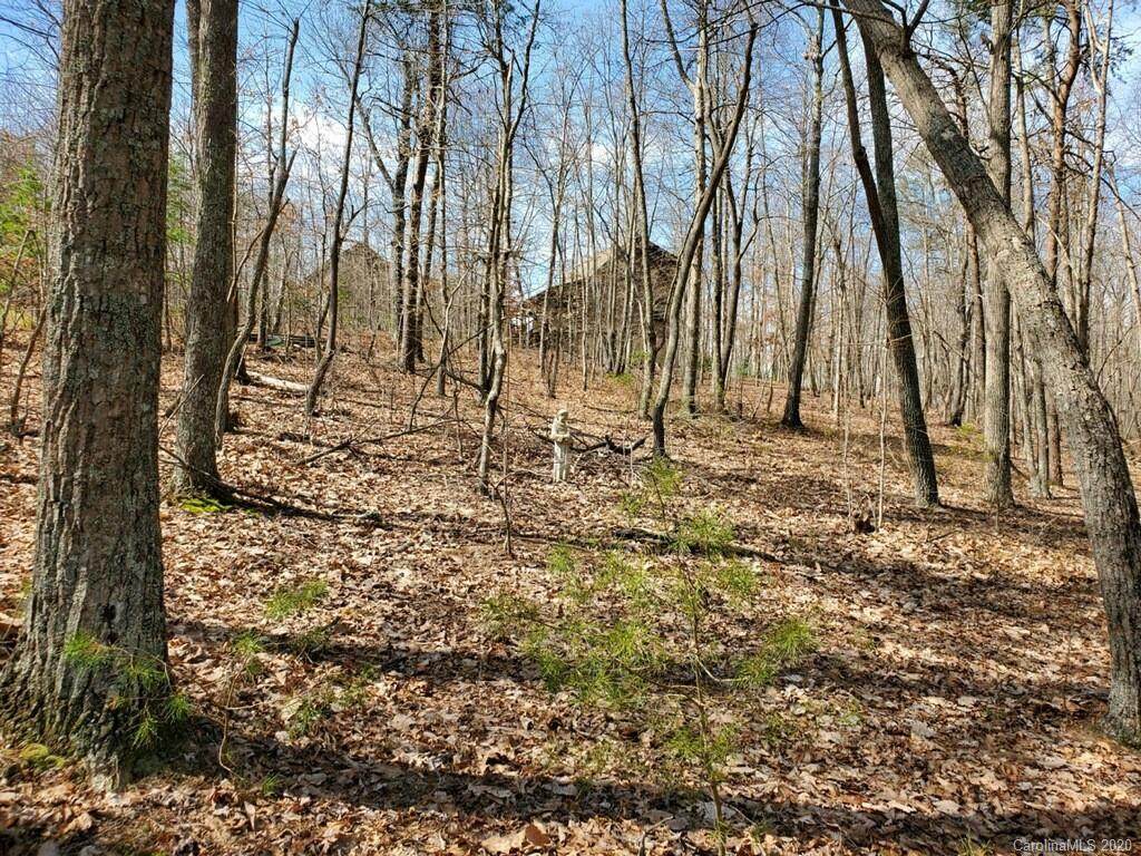 Lot #91 Adirondack Trail - Photo 1