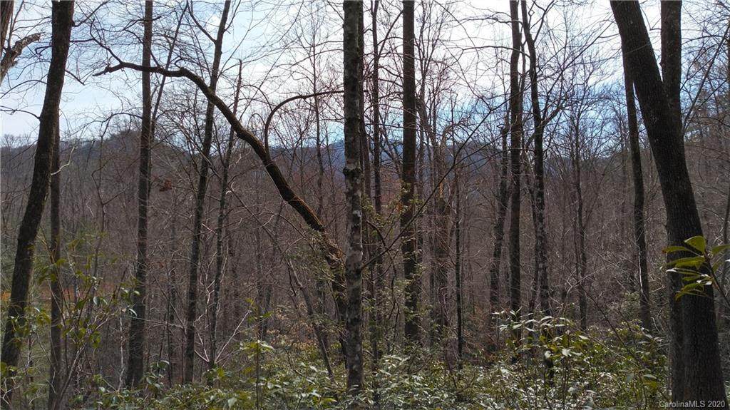 Lot 15 Crooked Creek Estates Drive - Photo 1