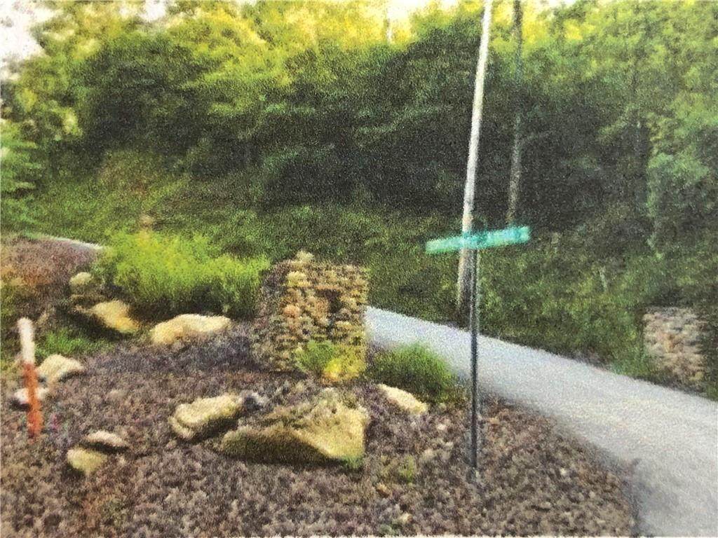 TBD Cove Gap Road - Photo 1