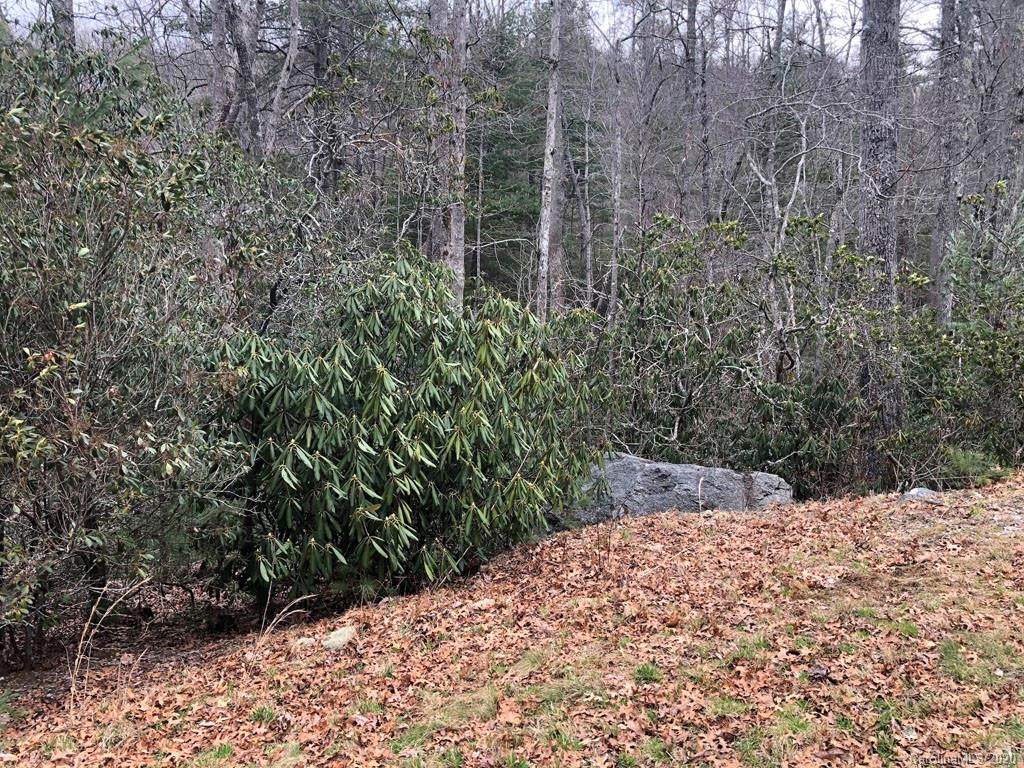 7.67 AC OFF Davis Mountain Road - Photo 1