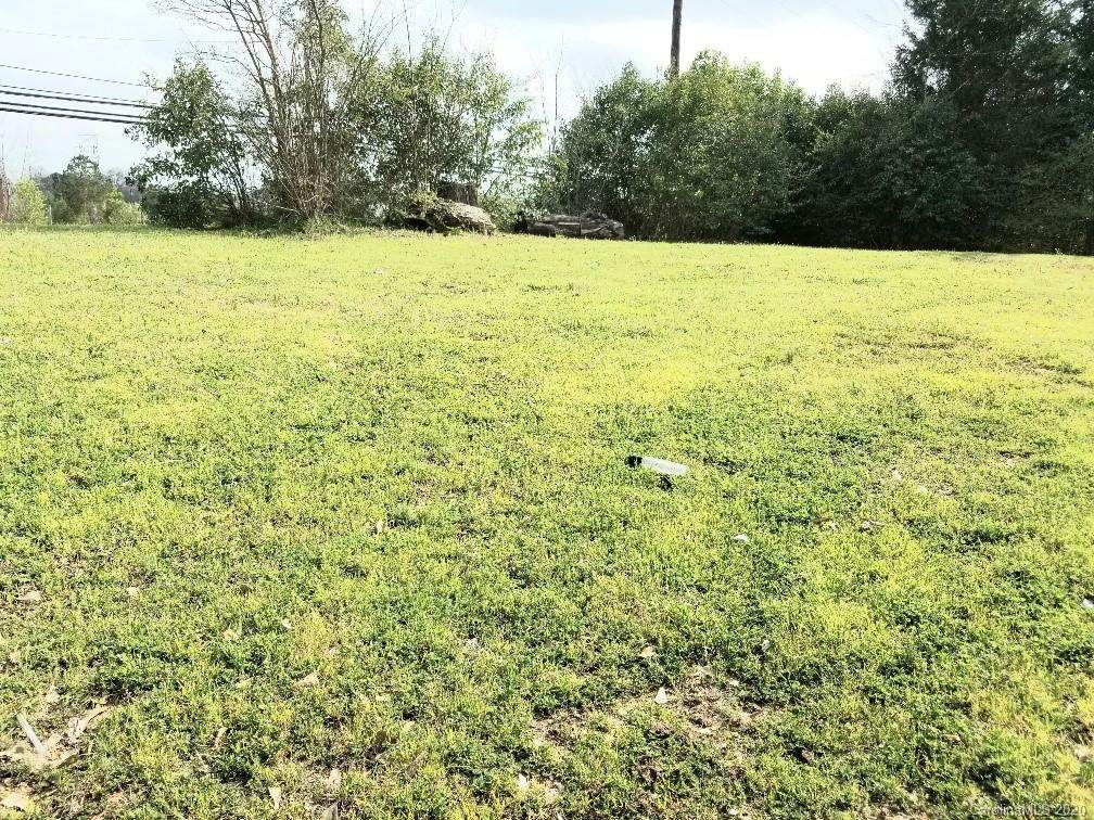 1088 Old Landsford Road - Photo 1