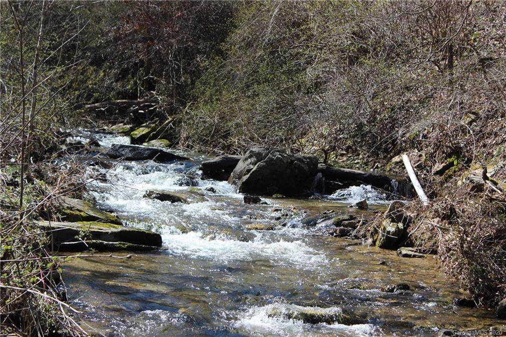 00000 Meadow Fork Road - Photo 1