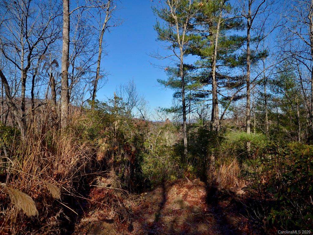 TBD Erwin Hill Road - Photo 1