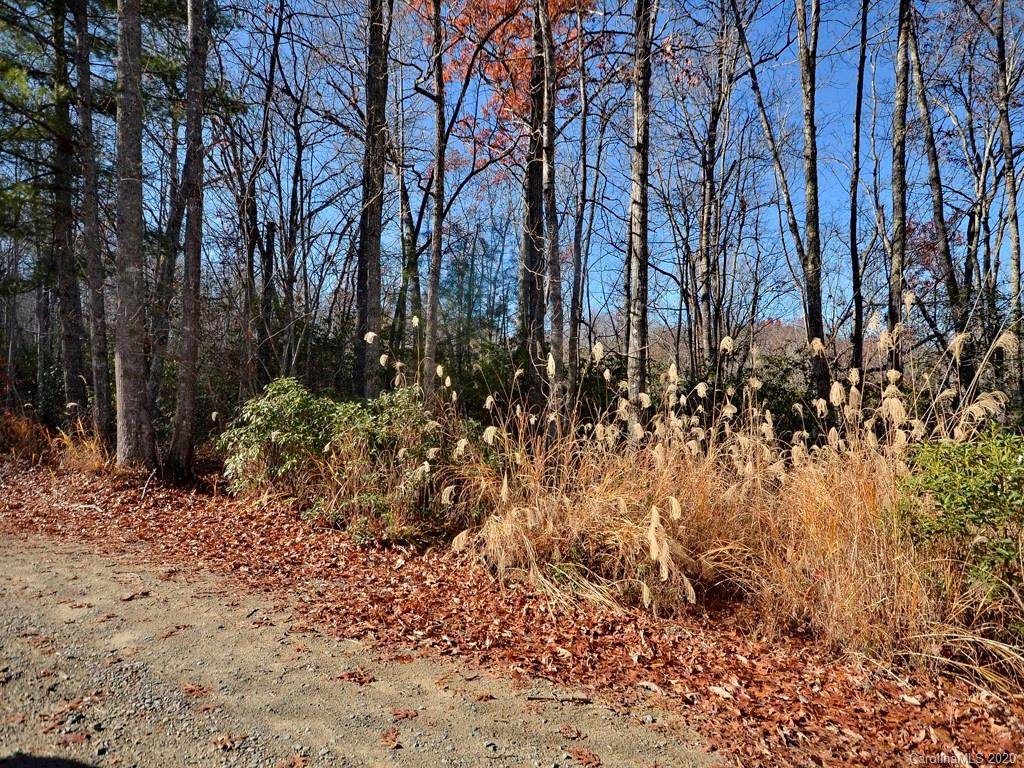 TBD Erwin Hill Road - Photo 1