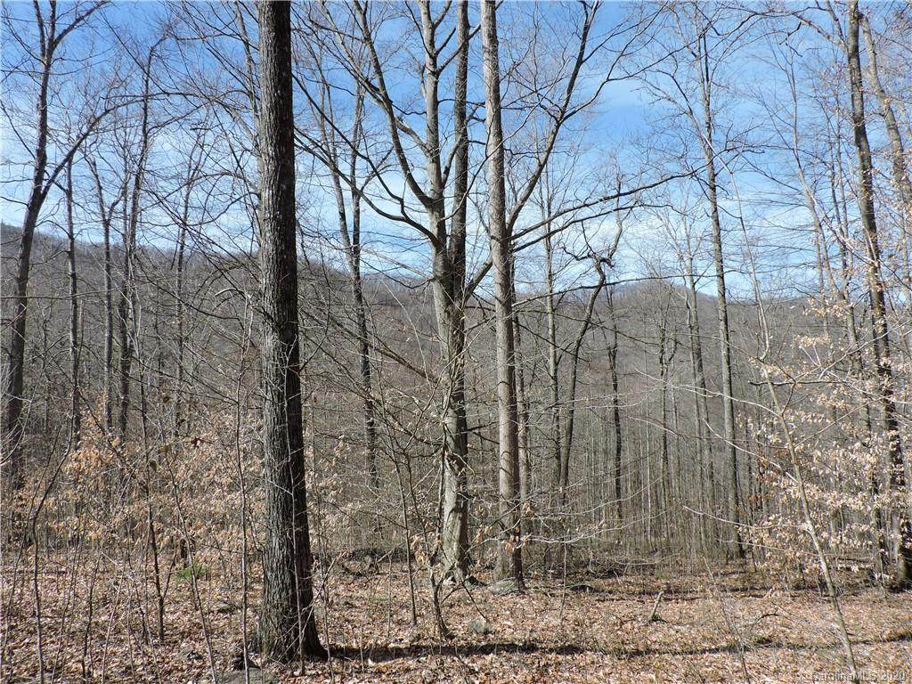 0 Sleepy Oak Lane - Photo 1