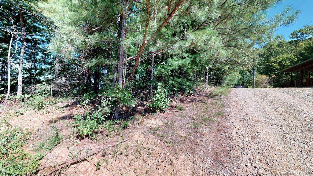 0 Pine Lake Ridge - Photo 1