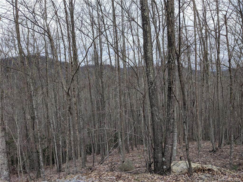 240 Smokemont Drive - Photo 1