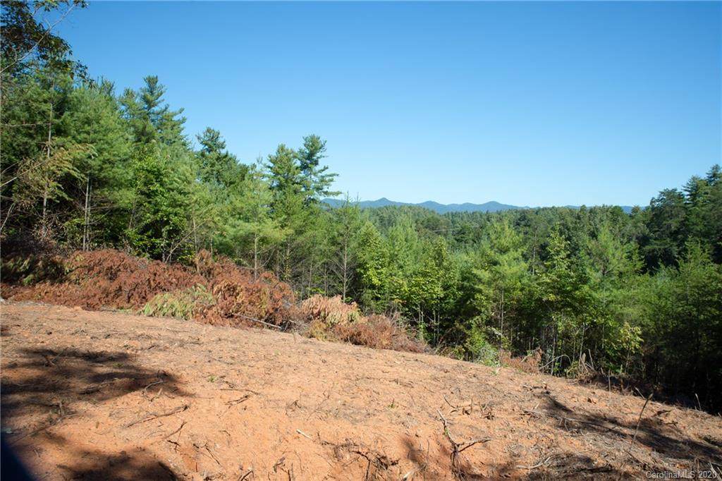 99999 Elkins Branch Road - Photo 1