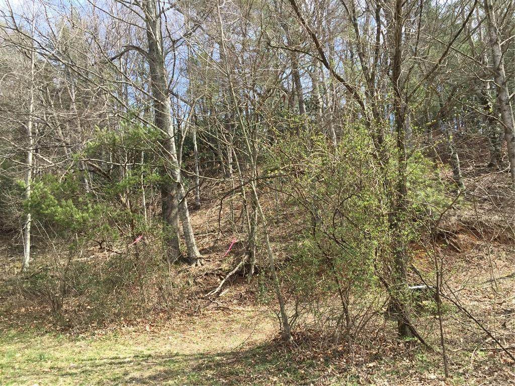 0000 Longbottom Road - Photo 1