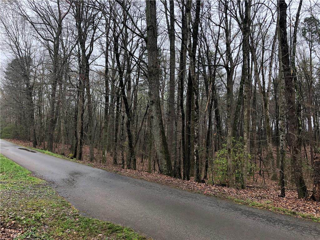 00 Keever Farm Road - Photo 1