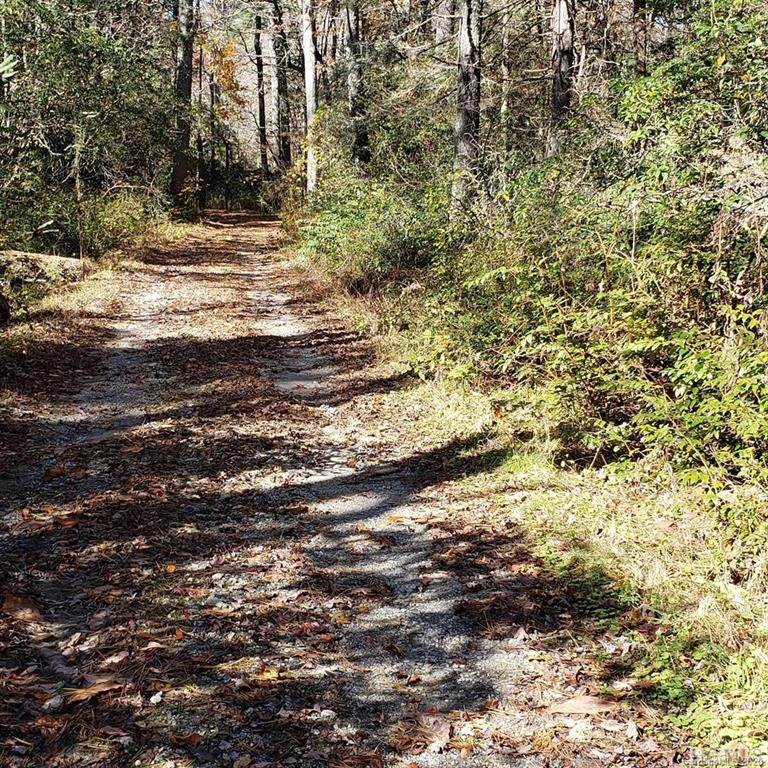 10 Black Bear Lane - Photo 1