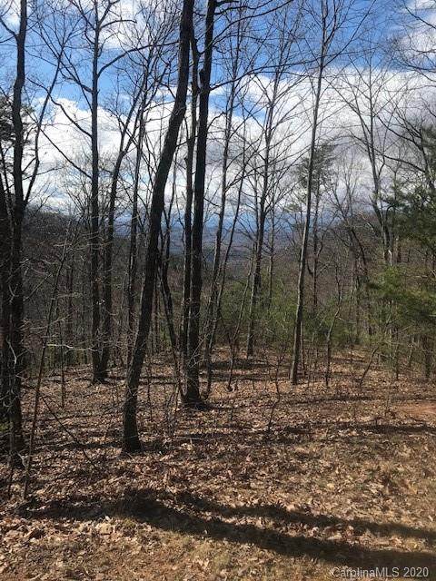 00 Mountain Lookout Drive - Photo 1