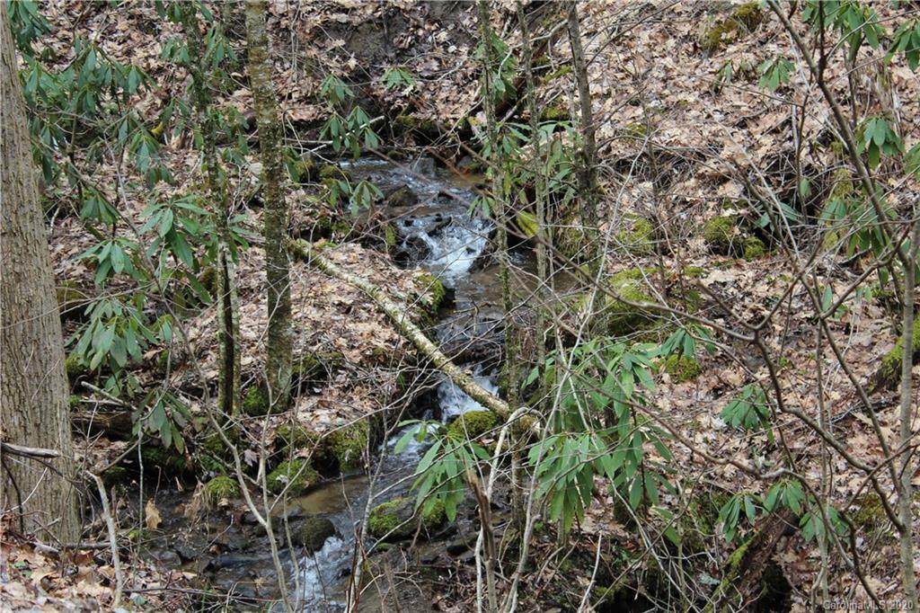 Lot #14 Teaberry Ridge Road - Photo 1