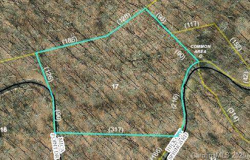 TBD Hickory Springs Road - Photo 1