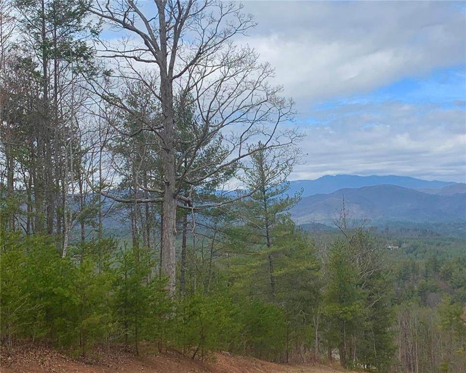 Lot 278 Table View Lane - Photo 1