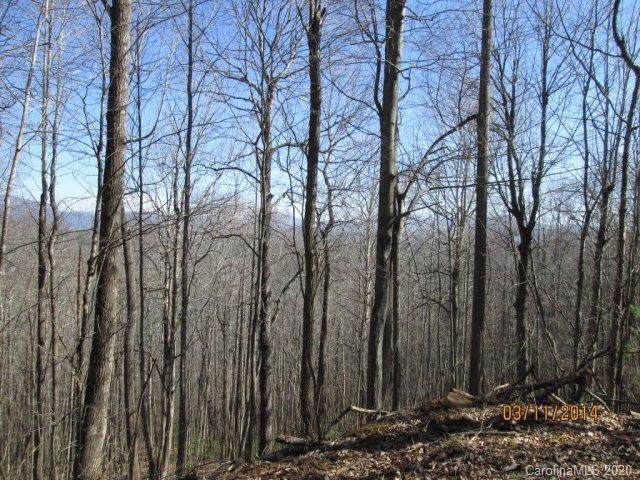 00 Laurel Hill Drive - Photo 1