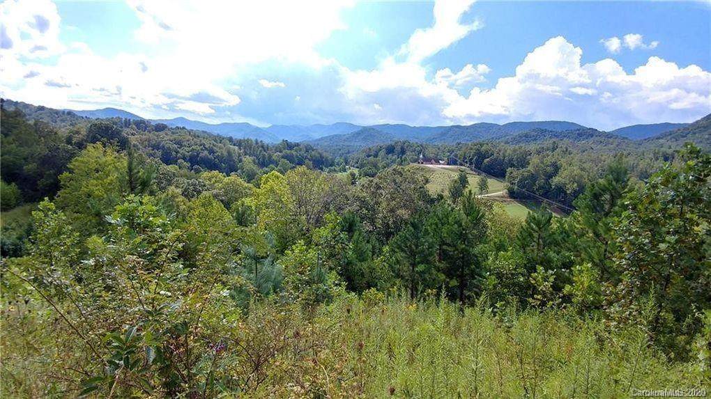 80 Big Sandy Mush Road - Photo 1
