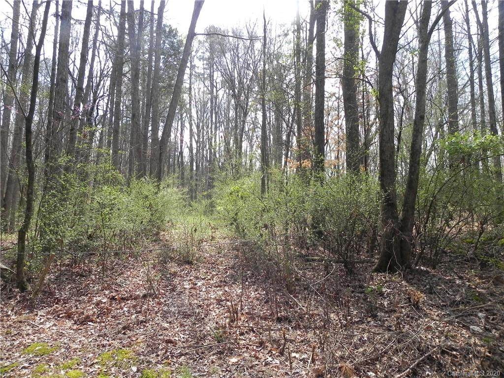 15318 Marshall Hooks Road - Photo 1