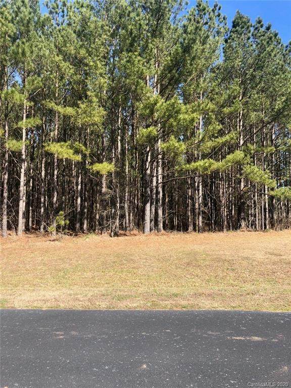 00 Spencer Pointe Road - Photo 1