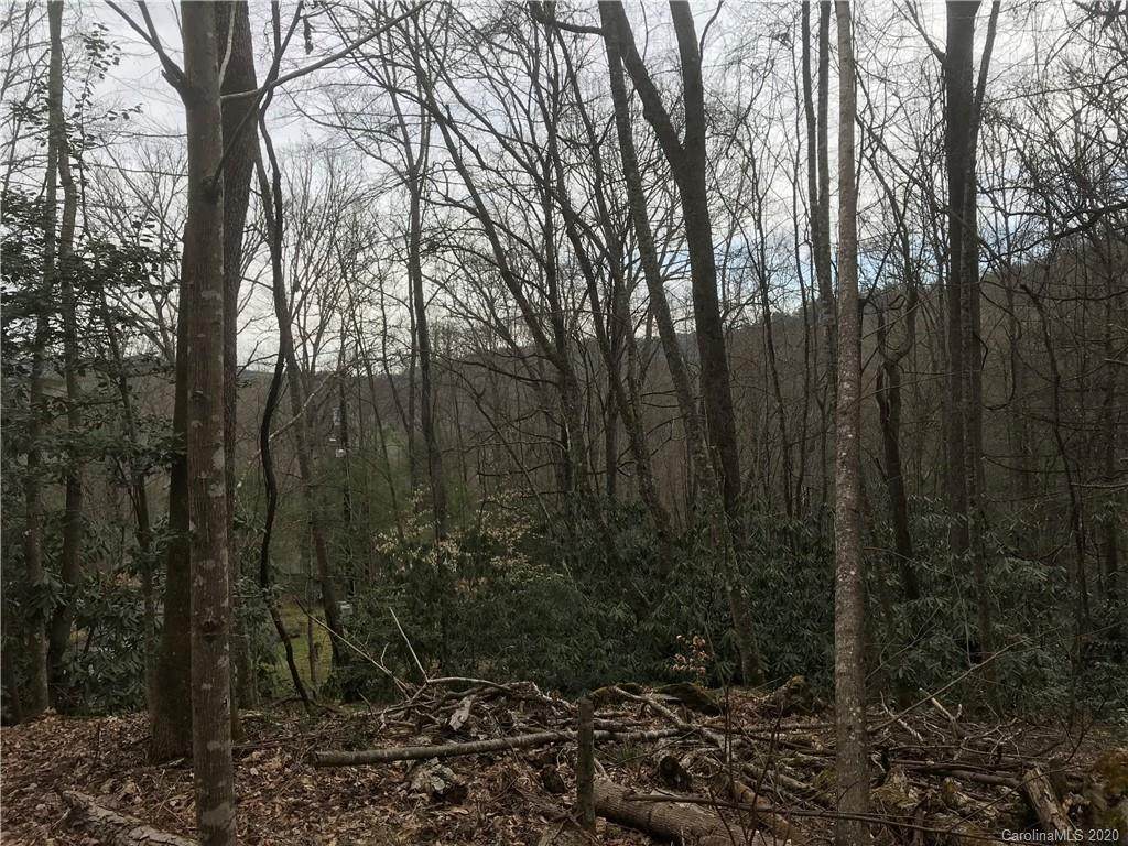 Lot 7 Pisgah Forest Drive - Photo 1