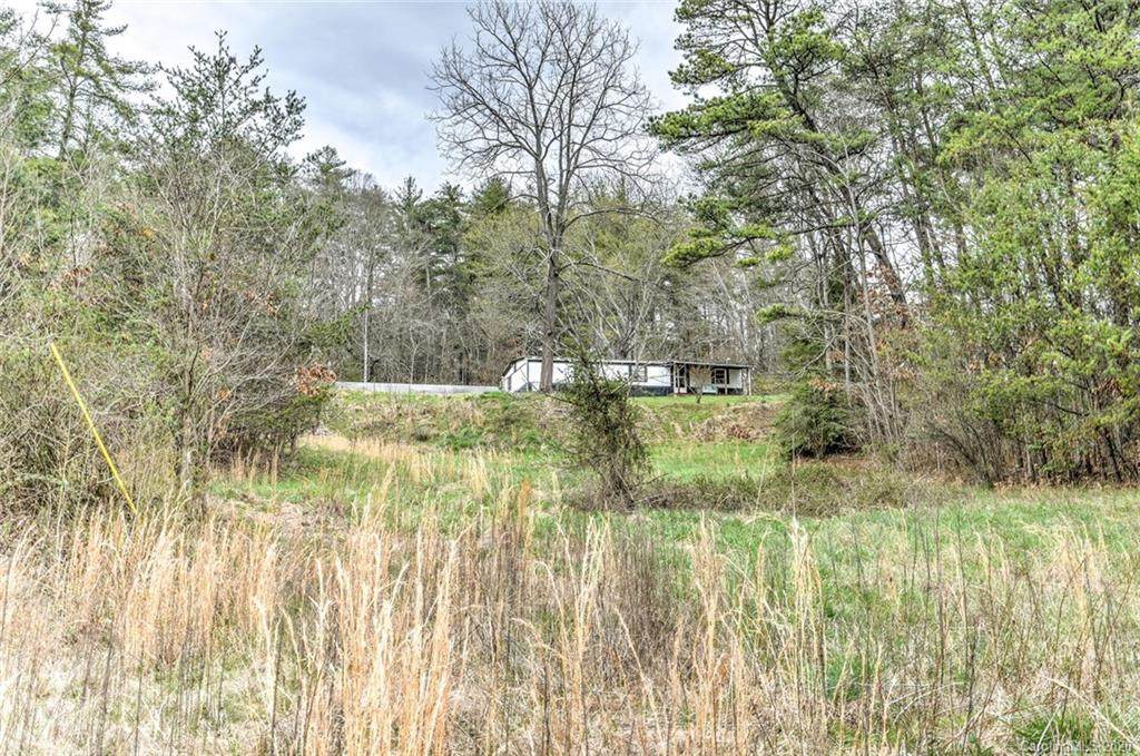 92 Old Mars Hill Highway - Photo 1