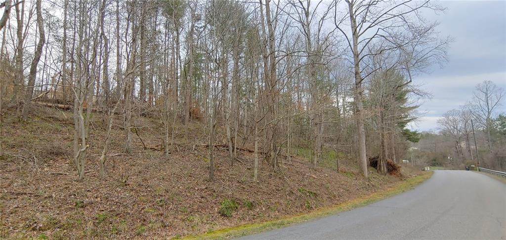 0 Dogwood Drive - Photo 1