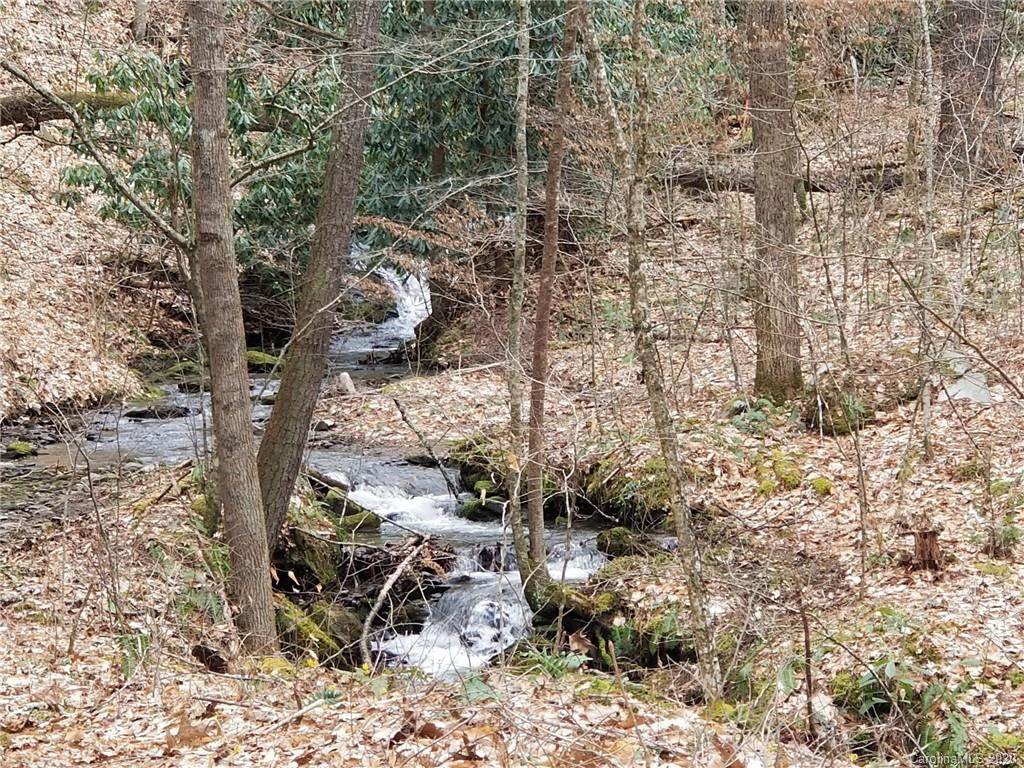 000 Gilders Creek Road - Photo 1