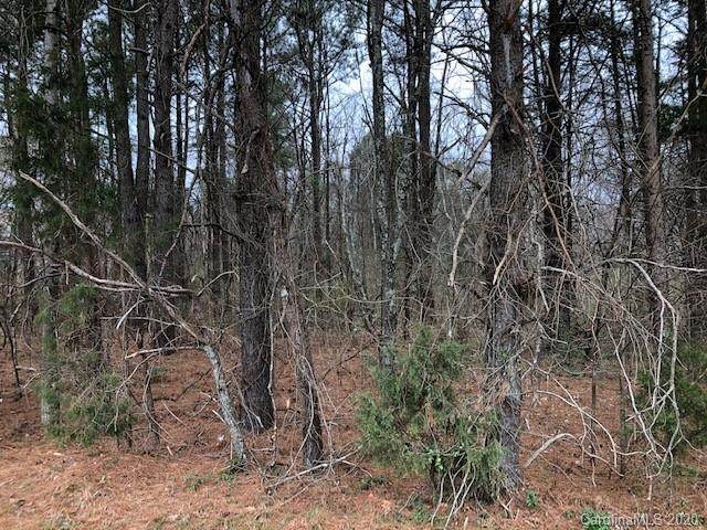 0000 Old Salisbury Road - Photo 1