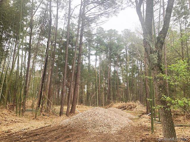 10125 Bethel Church Road - Photo 1