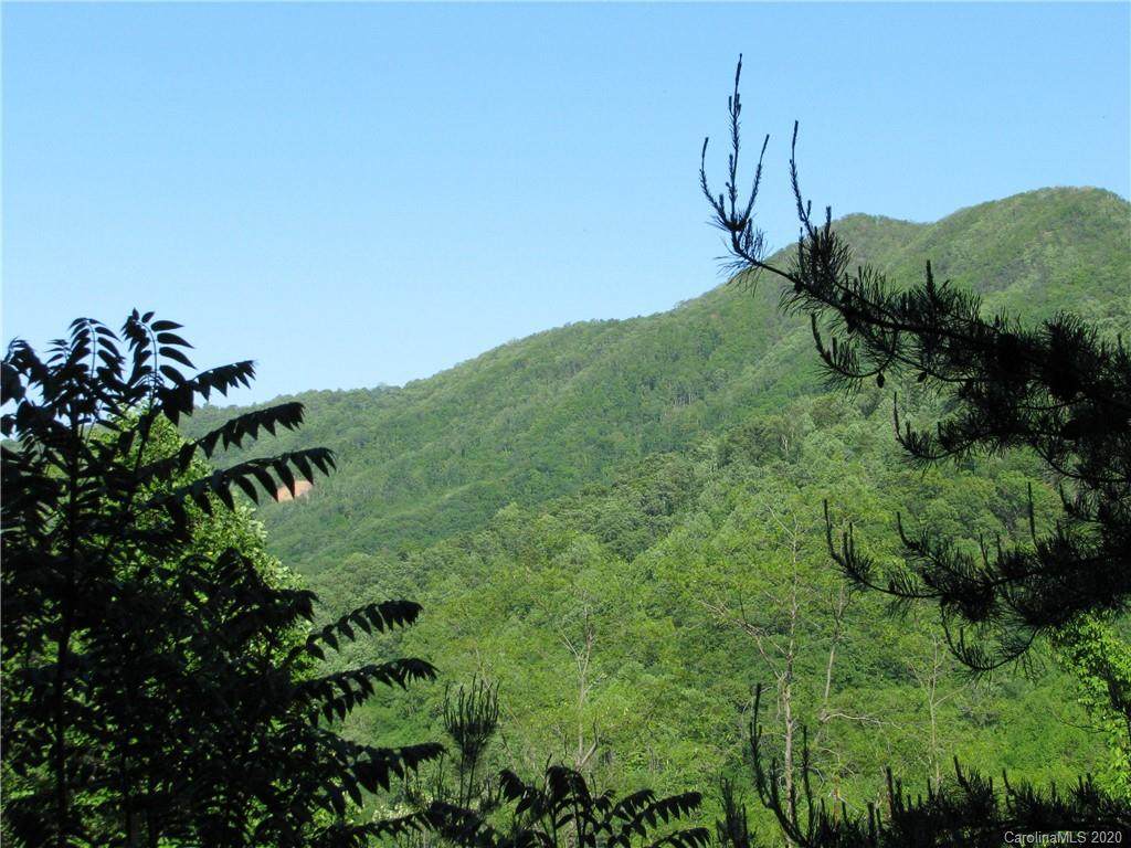 0000(5.95+/- acres) Newfound Road - Photo 1