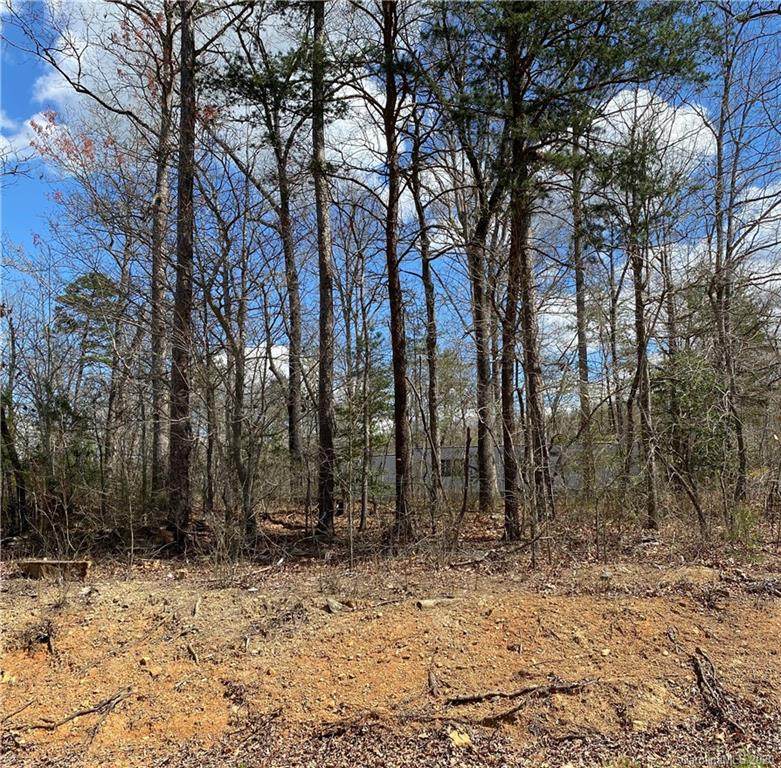 0 Skyline Drive - Photo 1