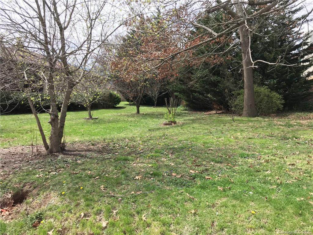 TBD Ormond Avenue - Photo 1