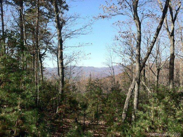 000 Western Meander Road - Photo 1