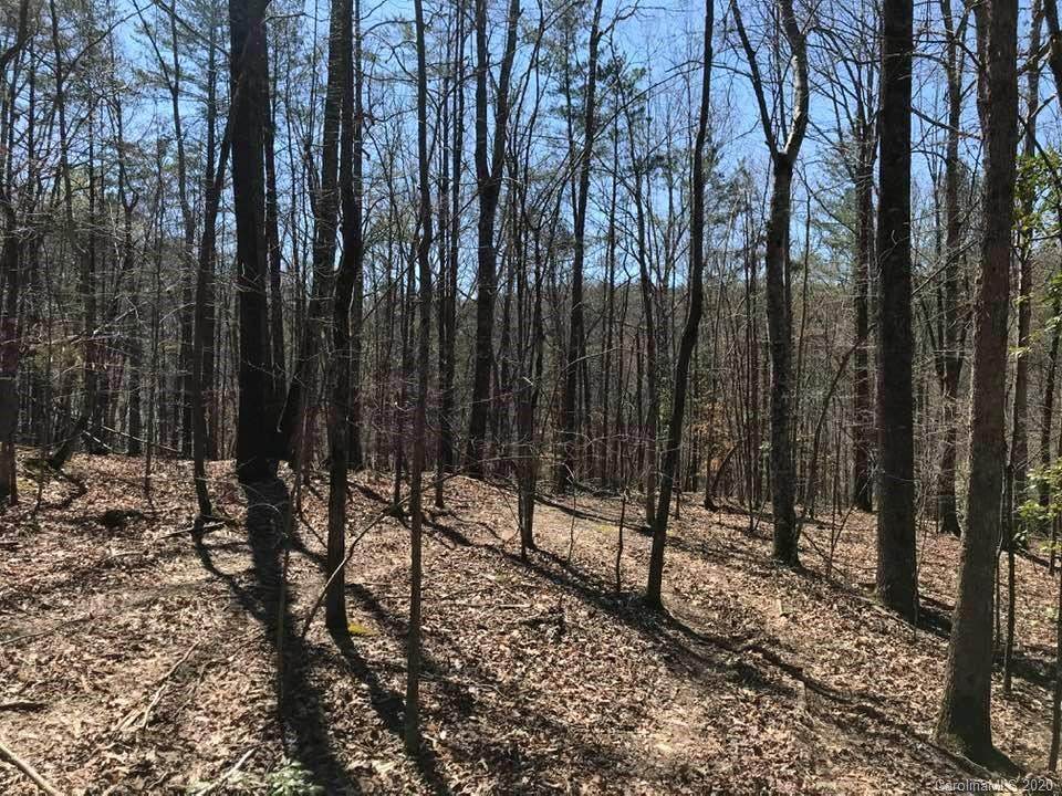 0 Holbert Cabin Lane - Photo 1