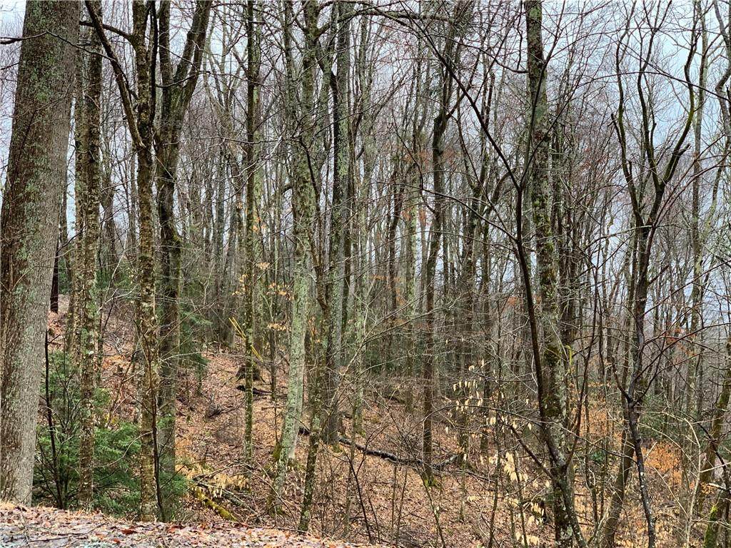 226 Greenbriar Road - Photo 1