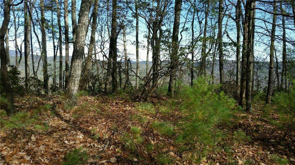 TBD Summit Ridge Road - Photo 1