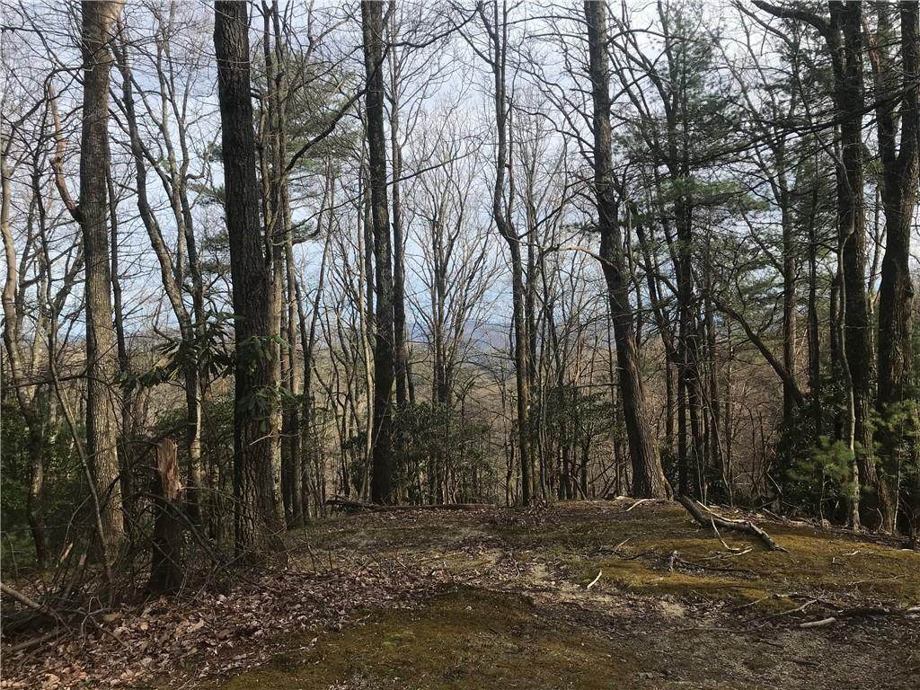 0 Rocky Knob Road - Photo 1